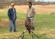 Falconry Rabbit Hunting - An Overview