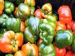 Eat It and Like It - Farm to Table Featuring Paula Deen