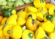 Farmer`s Market Better For Kids