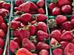 Farmers' Market Interview: Stretching Your Dollar 