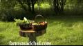 Introduction to Farmstead Chef