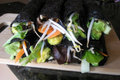 How To Make Fast And Easy Raw Nori Rolls