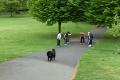Walking For Fat Burning