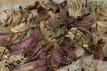How To Make Roasted Fennel