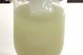 How To Make Fresh Fennel Blossom Liqueur
