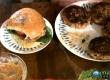 Spicy Shrimp Burger