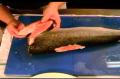 Fillet Fresh Salmon Part 1