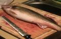 Filleting A Walleye Fish