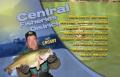 An Overview Of Fishing Report For Late October