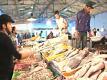 Mehdia - The Land Of Fresh Fish - Morocco Trip Video