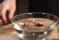 How To Make Flighty Essential Drink