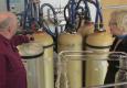Flighty's Tour Of San Francisco's Gin Distillery No. 209 - Part 3