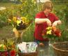 Wegmans Fall Signature Bouquet Video