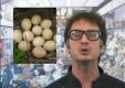 About Food Safety