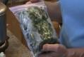 Freezing Greens Video