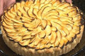 French Apple Tart