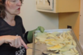 Oven-Fried French Fries