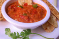 Fresh Tomato Dip