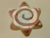 Fruit Swirl Cookies
