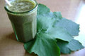 Fruity Smoothie with Grape Leaves