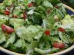 Fresh Summer Garden Salad