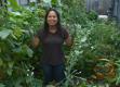 Vegetable Gardening With Asian Greens