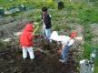 Basics Of Gardening