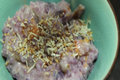 Ginataang Bilo Bilo - Filipino Merienda Food
