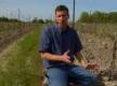 Growing Vines At Henry Of Pelham Family Estates