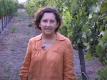 Grape Sampling With Amelia Ceja 2009 Vintage Video