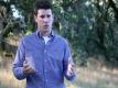 Grapevine Grafting: Changing Vineyard Varietals With Low-impact Farming