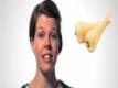 Great Winter Vegetables  Video