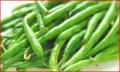 All About Green Beans