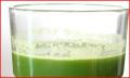 Healthy Living Series - Organic Green Juice