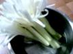 How To Make Green Onion Flower