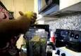 Green Smoothie with Sprouts