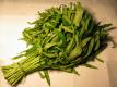 Healthy Raw Food Recipes Class: "green Up Your Diet" Have A Green Day!