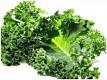 Why You Should Rotate Your Greens