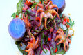 Grilled Baby Octopus with Spring Salad 