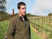 Ground Cover Crops In Spring: Sustainable Vineyard Farming Practices (the Journey Blog 5.20.10)