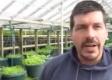 Growing Power-salad Mix