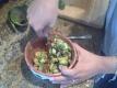 How to make Guacamole