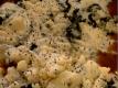 Guinness and Wild Mushroom Cottage Pie for Saint Patrick's Day