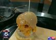  BGR The Burger Joint  in DC - Ultimate Turkey Burger
