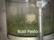 How To Make HarvestEating.com Cooking Video- Basil Pesto