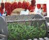 Mike Shows Us Hatched Chilis And Hits The Cook With Us Kitchen Www.hispanicfoodnetwork.com Video