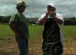 Waialua Asparagus Promo