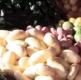 Health Benefits Of Garlic