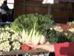 Health Benefits Of Green Vegetables Video