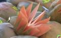 Top Health Benefits Of Papaya